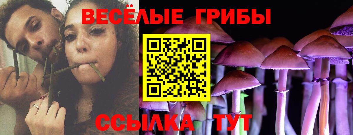 Галлюциногенные грибы Psilocybine cubensis Новоалтайск